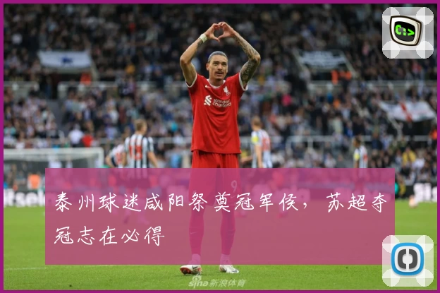 泰州球迷咸阳祭奠冠军侯，苏超夺冠志在必得