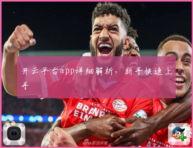 开云平台app详细解析,新手快速上手