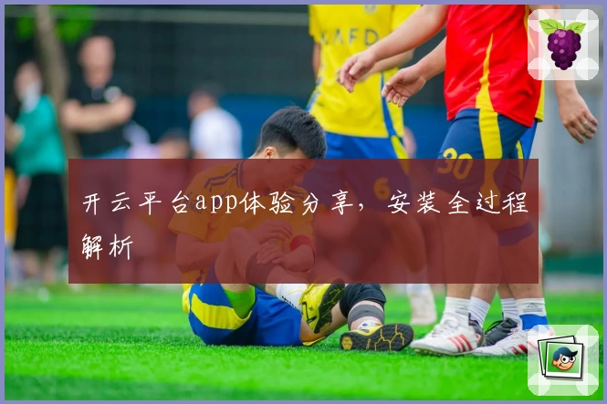 开云平台app体验分享，安装全过程解析