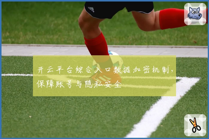 开云平台综合入口数据加密机制，保障账号与隐私安全